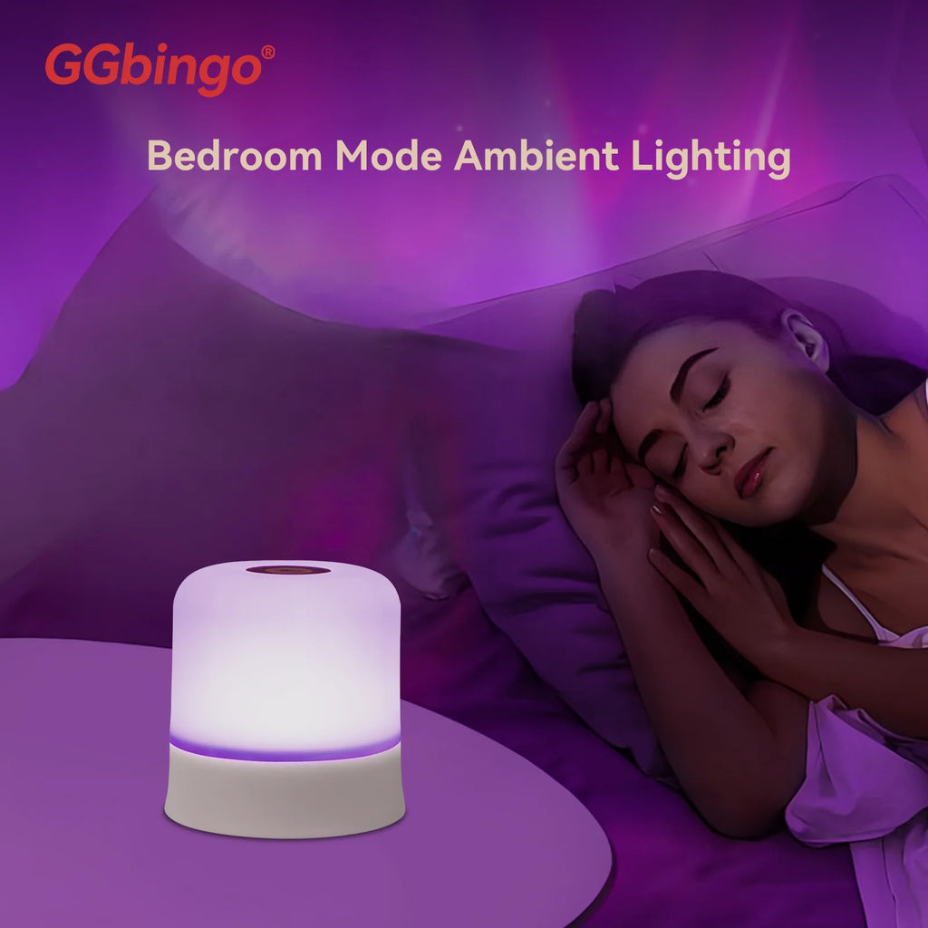 Lampe d'Ambiance Tactile Rechargeable